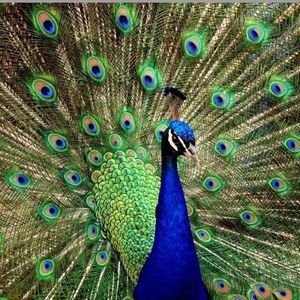 Meet your Posher, Lydia